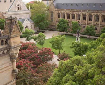 University of Adelaide Education Scholarships